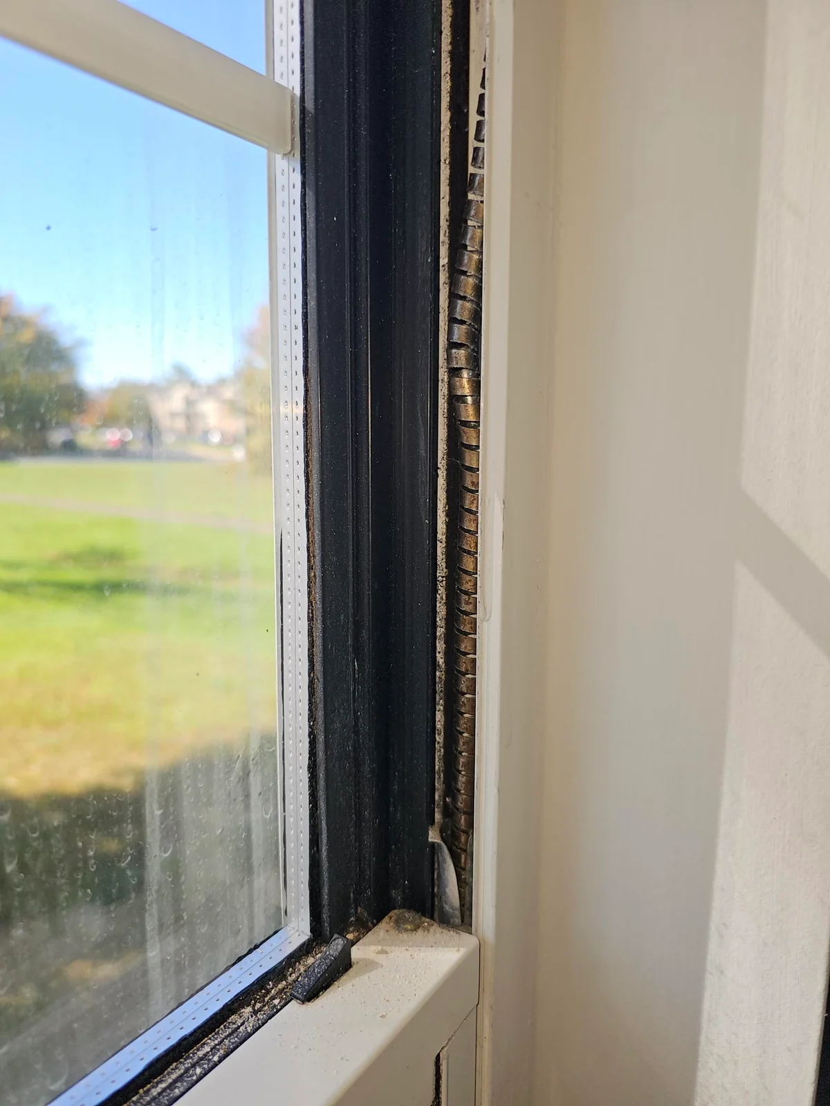 Exposed balance spring in the side track of a white window frame.