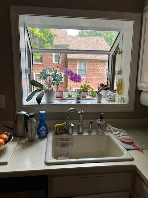 Projecting kitchen garden window with side-opening panels and plants above a sink.