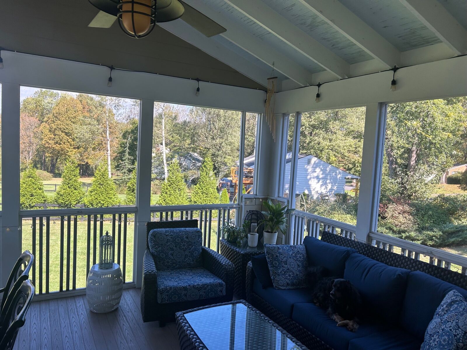 A furnished screened porch looking out through screen panels to the yard