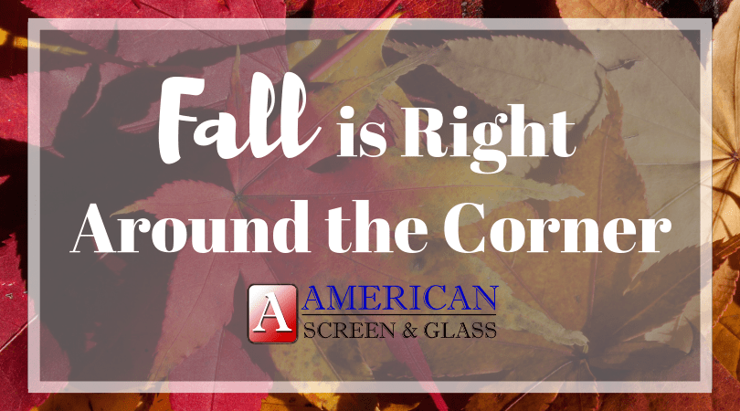 American Screen & Glass Fall Is Just Around The Corner